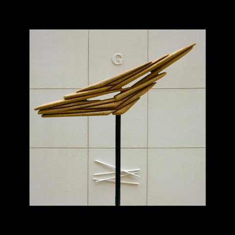 Image Image